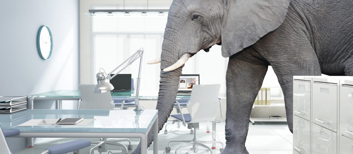 huge elephant walk in modern office